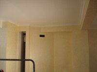 DSC01924